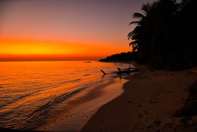 kham-pha-ve-dep-hoang-so-cua-hon-dao-thien-duong-maldives-711