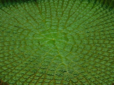 cuoc-song-xanh-huong-toi-su-ben-vung-cua-nguoi-dan-vung-bien-935