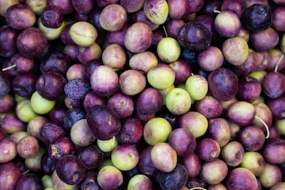 bien-tau-mon-ca-bop-thanh-nhung-mon-an-ngon-kho-cuong-886