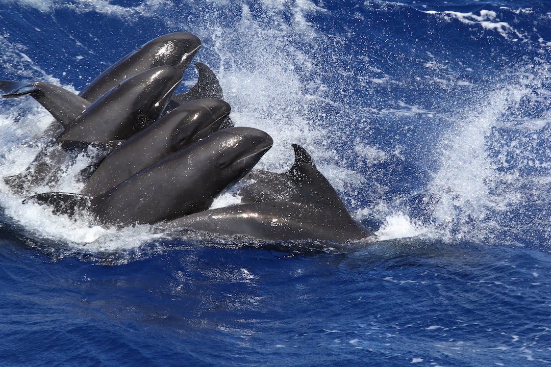 exploring-the-underwater-world-amazing-scuba-diving-spots-1217