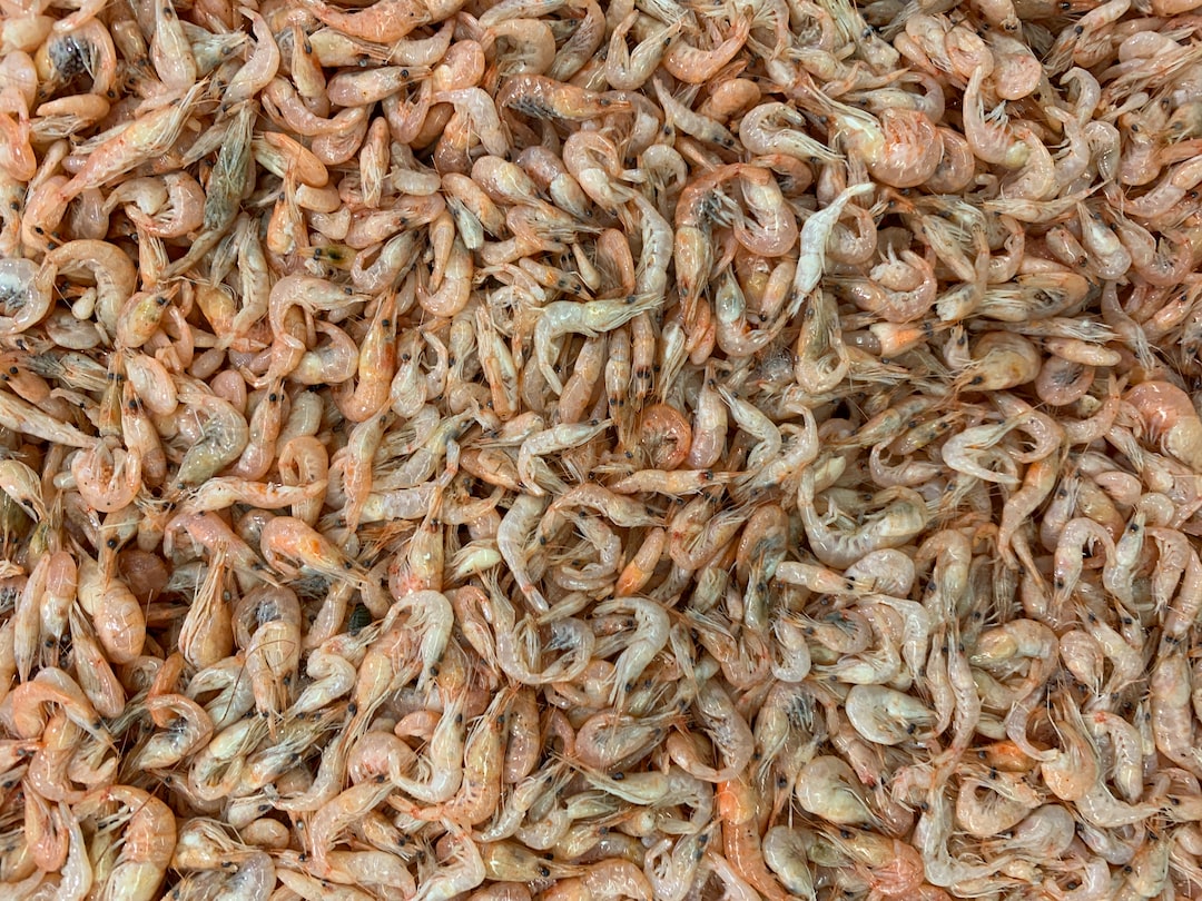 tac-dung-cua-hai-san-bien-trong-viec-cung-cap-dinh-duong-1033