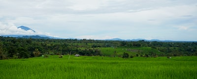 trai-nghiem-cuoc-song-dan-da-tai-lang-chai-bui-thuc-405