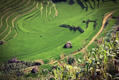 nghi-duong-tai-bai-bien-dep-nhat-viet-nam-289