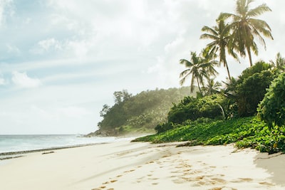 bai-bien-nha-trang-diem-den-ly-tuong-cho-ky-nghi-he-390